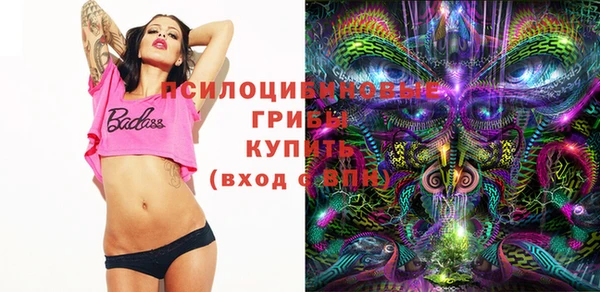 гашик Алексеевка