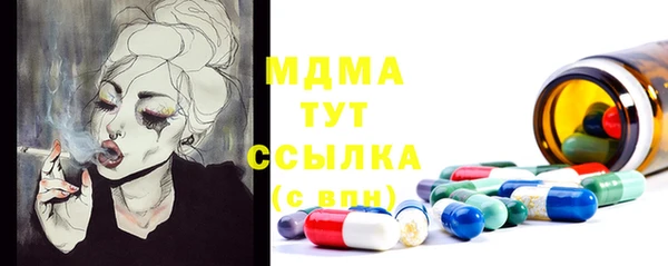 гашик Алексеевка