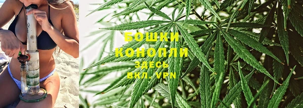 каннабис Алексин