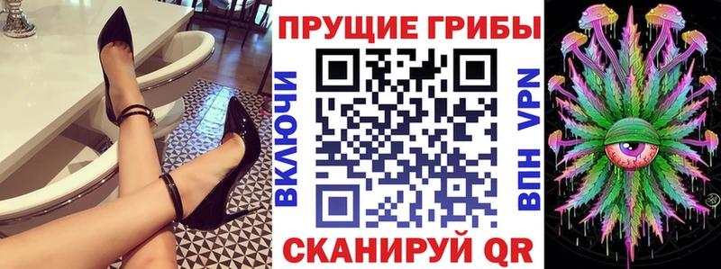 купить закладку  Бердск  Галлюциногенные грибы Psilocybine cubensis 