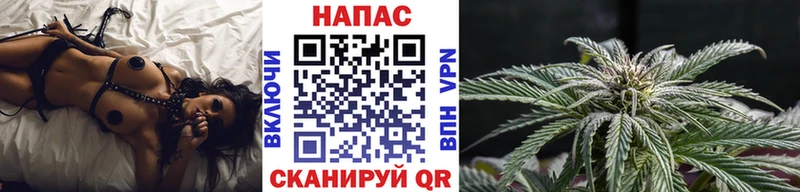 МАРИХУАНА SATIVA & INDICA  мега ТОР  Бердск  где можно купить  